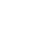 icon linkedin white