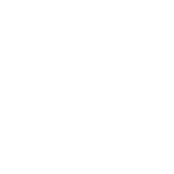 icon xing white